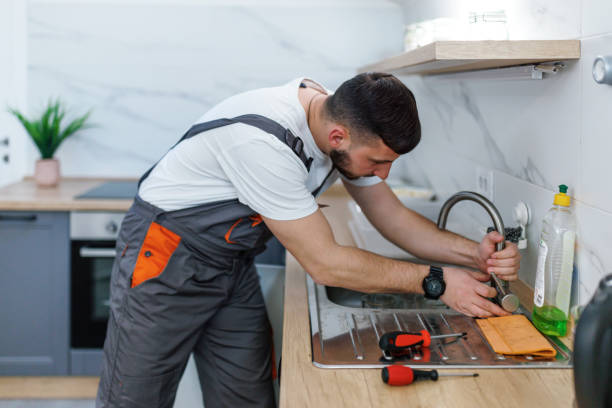 Best Local Plumber Services  in Burt, MI